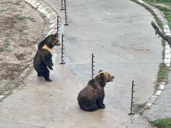 -青藏高原野生动物园
