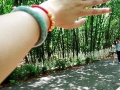 -艾溪湖湿地公园