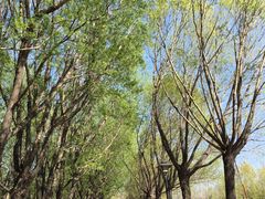 -青州市云门山风景区