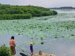 -丁香湖公园