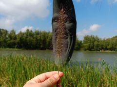 -昆山城市生态森林公园