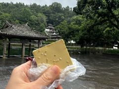 -蔺大妈松花糕