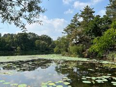 -承德避暑山庄景区