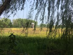 -长兴太湖图影湿地文化园
