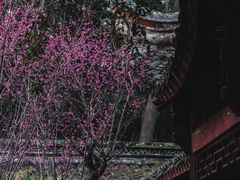 -溪口-滕头旅游景区