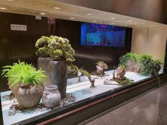 -九洲喜来登酒店湖月日餐厅