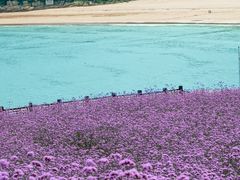 -南麂列岛