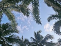 -南国锋味椰子鸡(瀚海店)