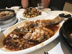 -金春禧(世茂国际广场店)