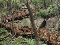 -大岭沟猕猴桃谷风景区