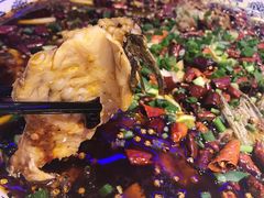 来凤鱼-新概念来凤鱼(璧山店)