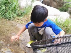 -碓臼峪自然风景区