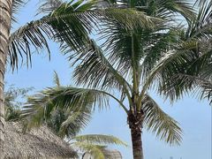 -玫瑰海岸文化旅游度假区