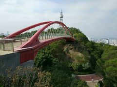 -金鸡山公园