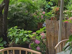 -谷咖啡·鲜花绿植花园餐厅