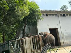 -合肥野生动物园
