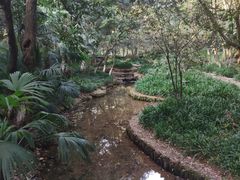 -杭州半山国家森林公园