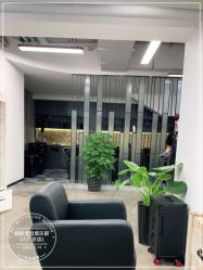 -蚂蚁造型俱乐部