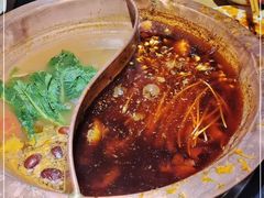 -老版火锅(半坡店)
