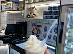 -白色日记·手作酸奶(麦凯乐店)