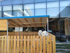 -廊坊固安福朋喜来登酒店