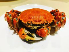 清蒸大闸蟹-王宝和酒家(黄浦店)