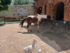 -HERRE·FARM 赫尔露营农场·团建聚会包场