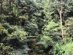 -雁荡山风景名胜区-小龙湫