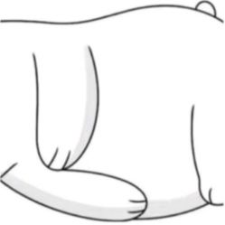 -奥本瑜伽·普拉提