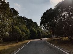 -南京市江宁方山