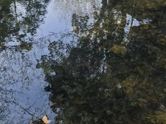 -兴福老面馆(寺路街店)