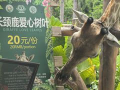 -海南热带野生动植物园