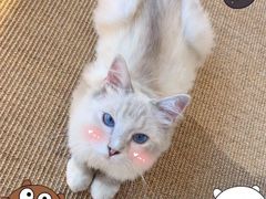 -一个叫川的地方(麒麟新天地店)