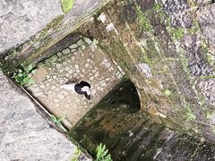 -仙霞关景区