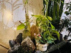 -茶米人台湾料理·精致快简餐
