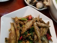-品雅轩农家乐