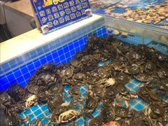 -万象·复兴号鲜肉烤肉海鲜自助(升级店)