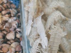 -港畔赶海蒸汽海鲜烧烤自助(仙螺岛店)