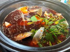 鱼火锅-老杨砂锅鱼庄