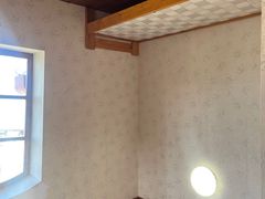 -金山农民画村-枫泾波兰倒置屋