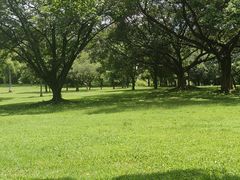 -东莞植物园