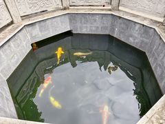 -西安市广仁寺