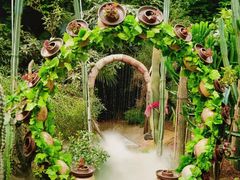-呀路古热带植物园