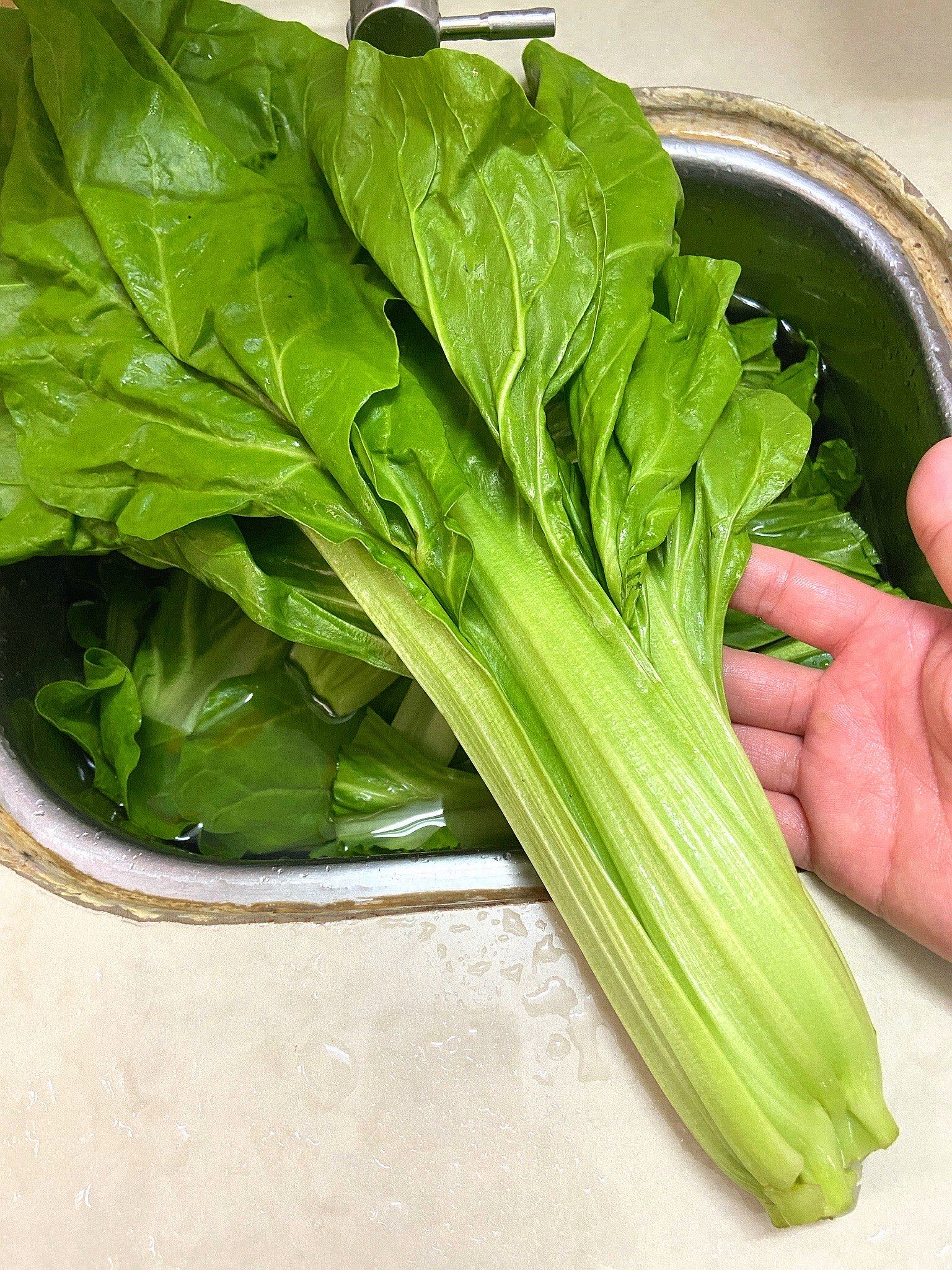 厚合菜,以前是拿来喂猪的