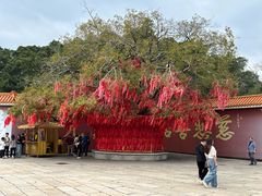 -广州莲花山旅游区