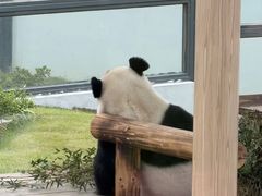 -无锡动物园·太湖欢乐园