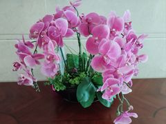 -金时代顺风大酒店(兰生大厦店)