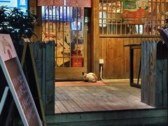 -九州酒场ひこぞう(1号店)