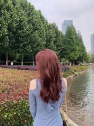 -AFA Hair studio·女士发型设计