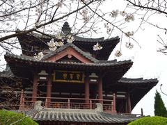 -西安青龙寺遗址景区